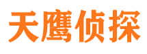 罗山侦探公司